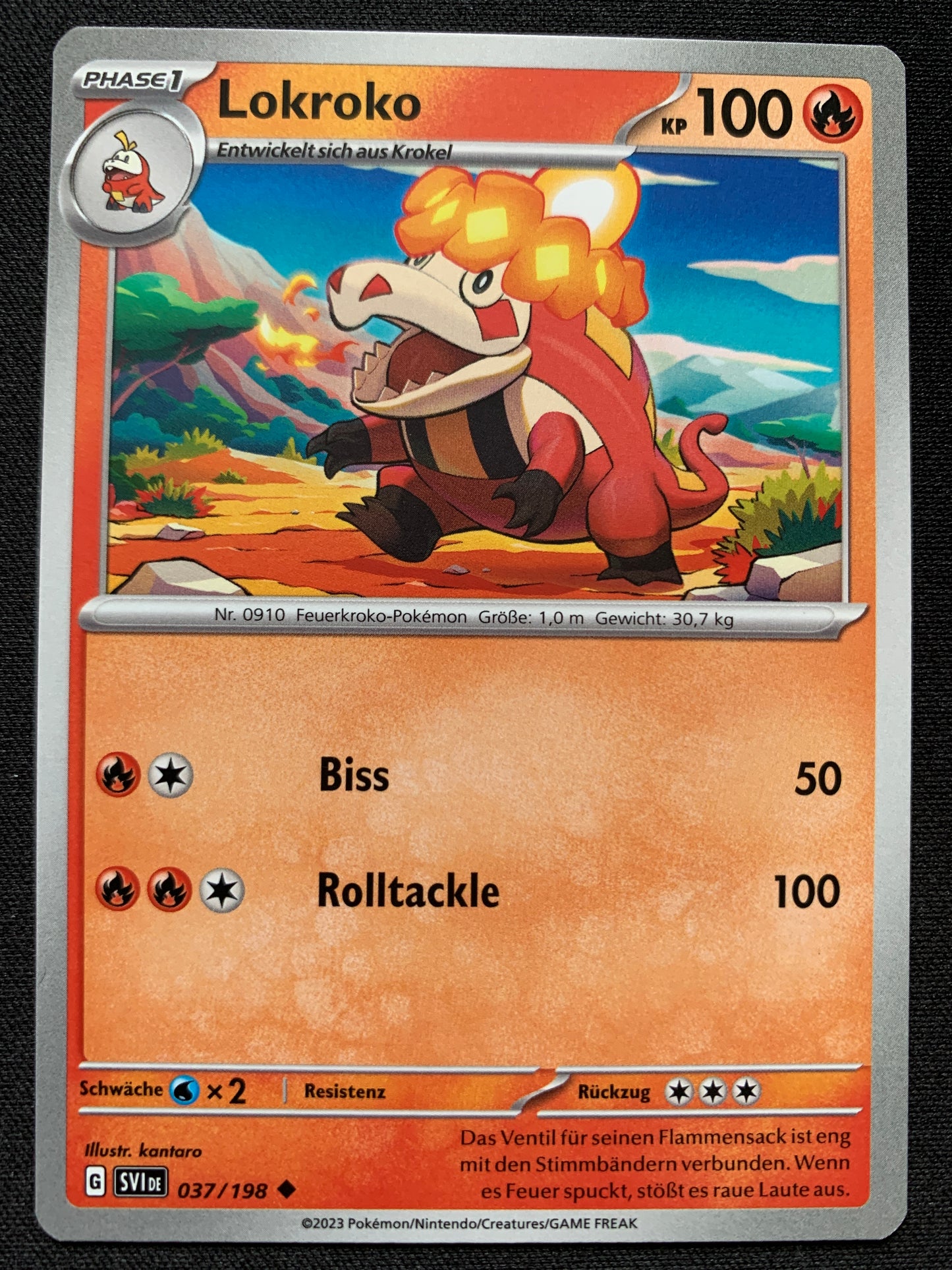 vvfp:2b595f708749adfc30dd
