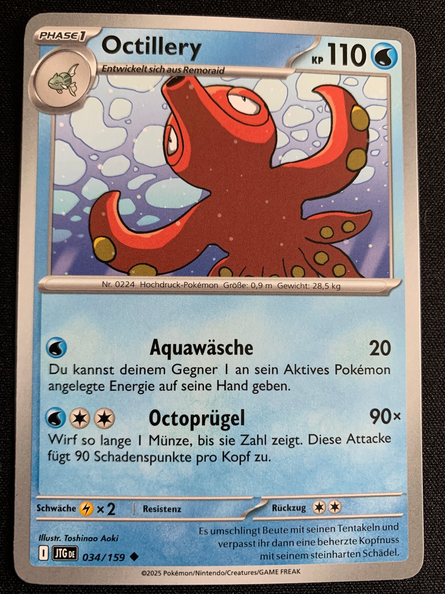 vvfp:c616e3fe2db331a431f1