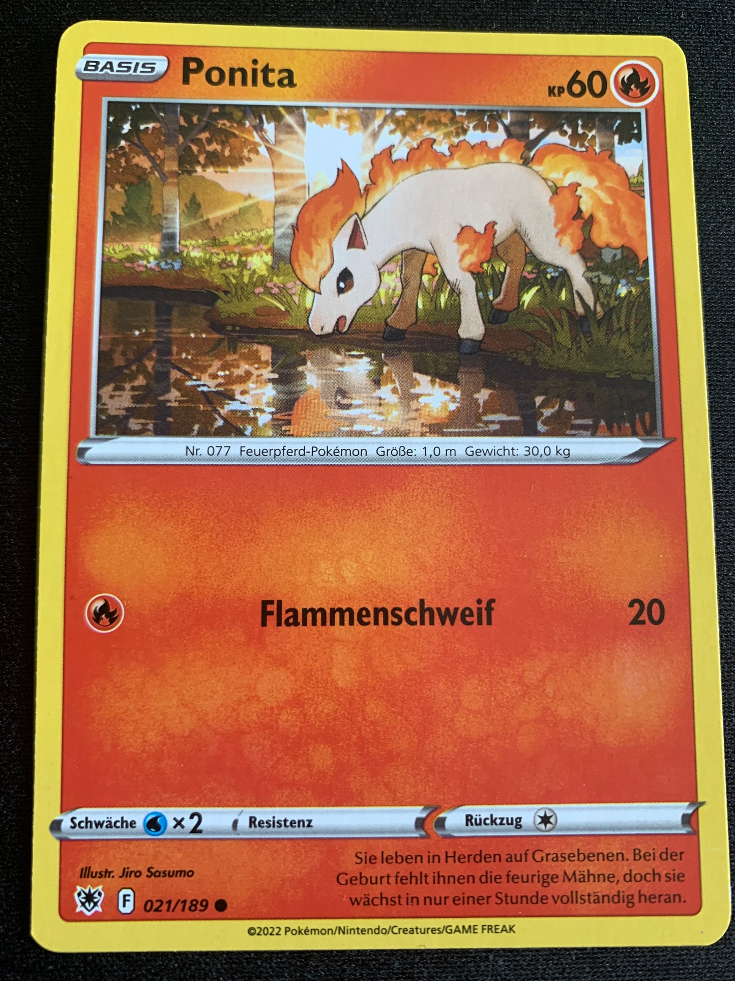 vvfp:46dfb1a6da4febf59189