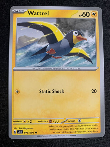 Wattrel (Englisch) 78/198 – Karmesin & Purpur – Pokémon Karte Matt