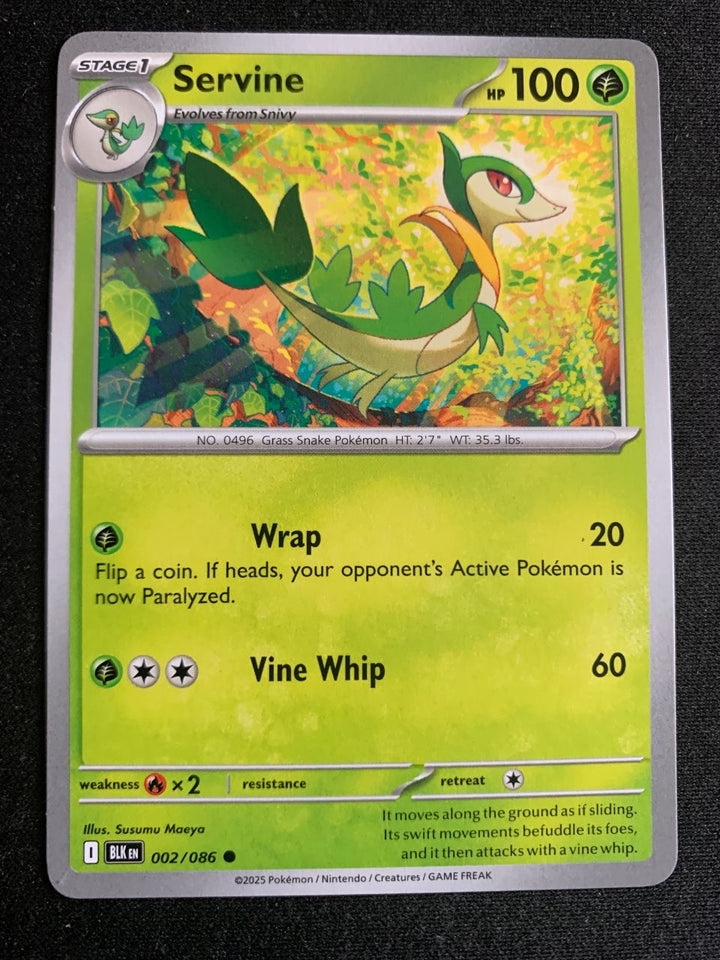 Servine (Englisch) 2/86 – Schwarze Blitze (Karmesin & Purpur) – Pokémon Karte Matt