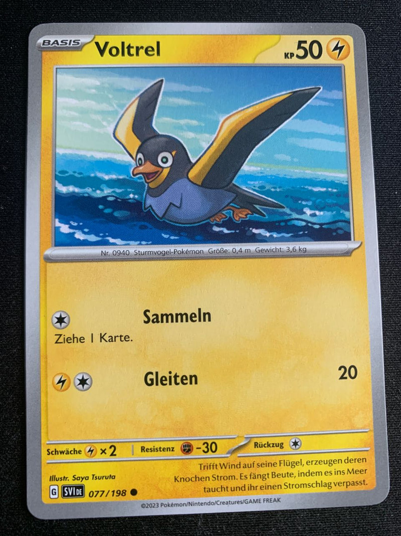 Voltrel 77/198 – Karmesin & Purpur – Pokémon Karte Matt