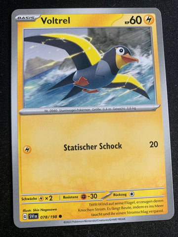Voltrel 78/198 – Karmesin & Purpur – Pokémon Karte Matt