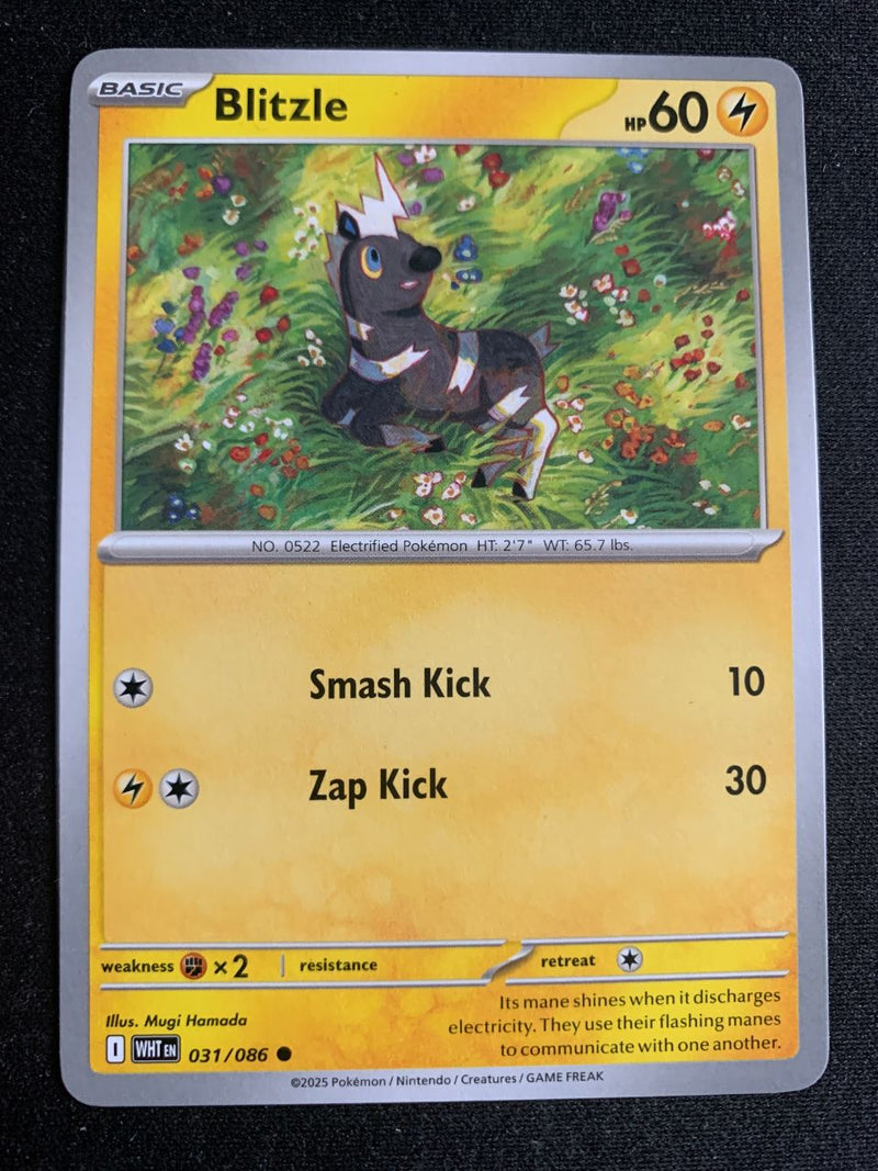 Blitzle (Englisch) 31/86 – Weiße Flammen (Karmesin & Purpur) – Pokémon Karte Matt