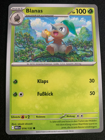 Blanas 14/132 – Mega-Entwicklung – Pokémon Karte Matt