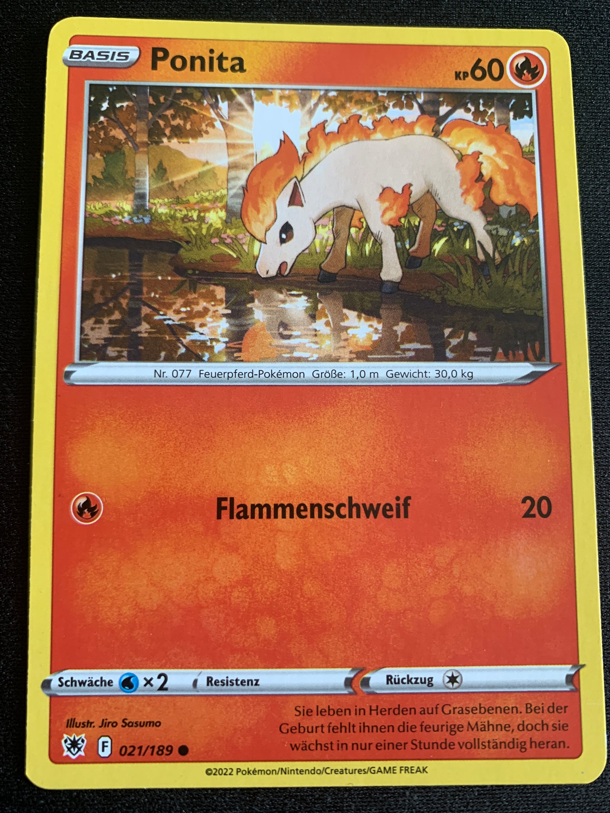 vvfp:46dfb1a6da4febf59189